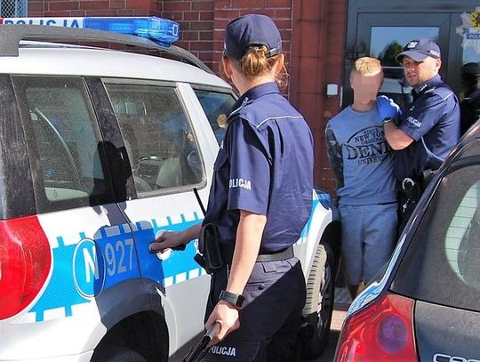 Podejrzany o zabicie psa trafił do aresztu