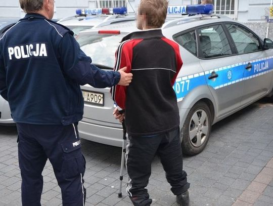 Podpalał i podtruwał jeże