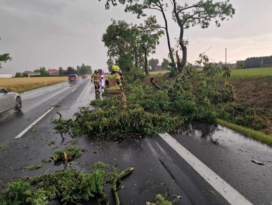 Podsumowania po ostatnich ulewach. Dziesiątki interwencji, zerwane dachy, powalone drzewa, zniszczone pola uprawne...