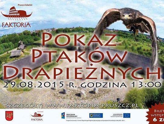 Pokaz Ptaków Drapieżnych