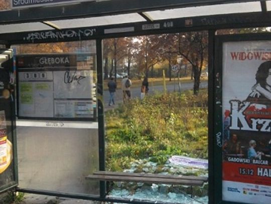 Pokłócił się z żoną, więc ulżył sobie na szybie wiaty