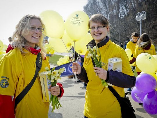 Pola Nadziei zakwitną w niedzielę
