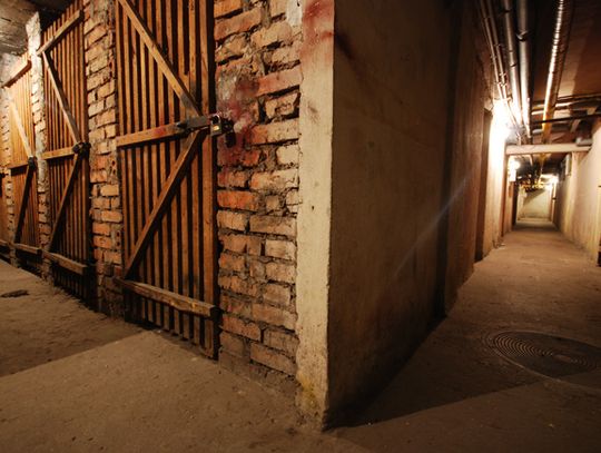 Policja radzi: chroń swoją piwnicę!