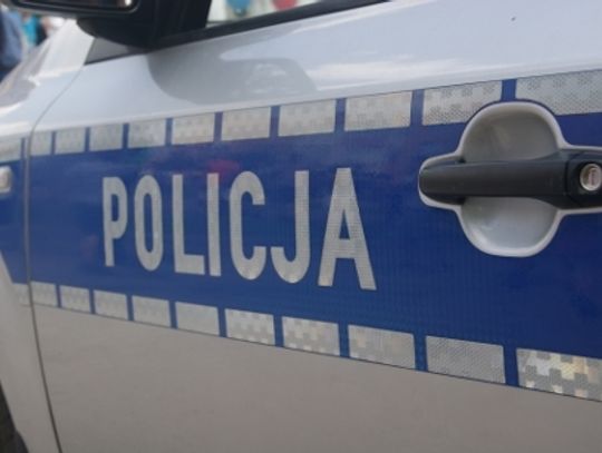 Policjanci kontrolują ciężarówki