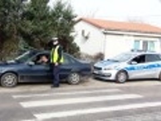 Policjanci nałożyli 29 mandatów 