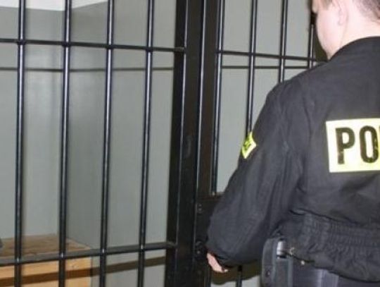 Policjanci rozbili szajkę włamywaczy i złodziei