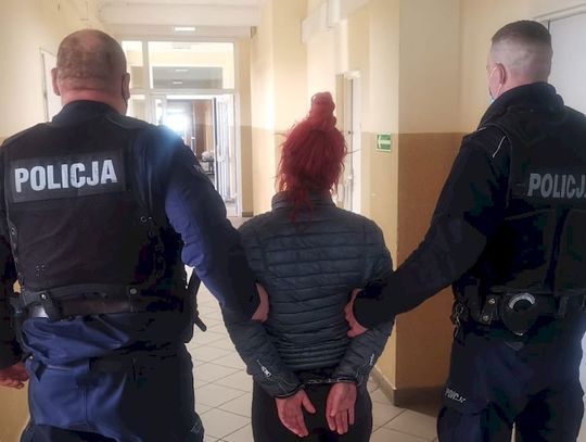 Policjanci zatrzymali kobietę podejrzaną o zabicie kota