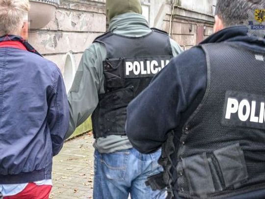 Policjanci zatrzymali mężczyznę podejrzanego o pedofilię