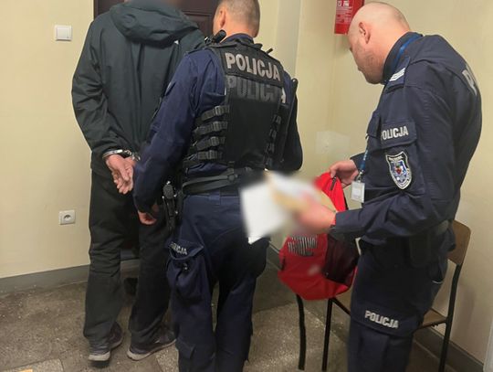 Policjanci zatrzymali mężczyznę podejrzanego o zabicie psa