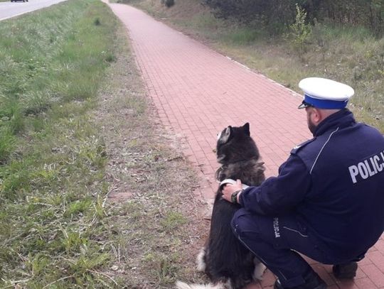 Policjant uratował zakleszczonego psa