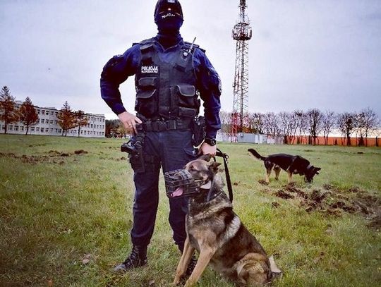 Policyjny emeryt i funkcjonariusz po służbie zatrzymali złodzieja alkoholu