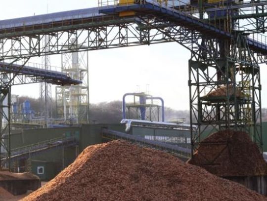 Politechnika Gdańska chce współpracować z Czarną Wodą w ramach Pomorskiego Klastra Drzewnego