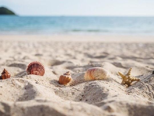 Półwysep Helski na wakacje 2020 - jakie są zalety tego regionu?