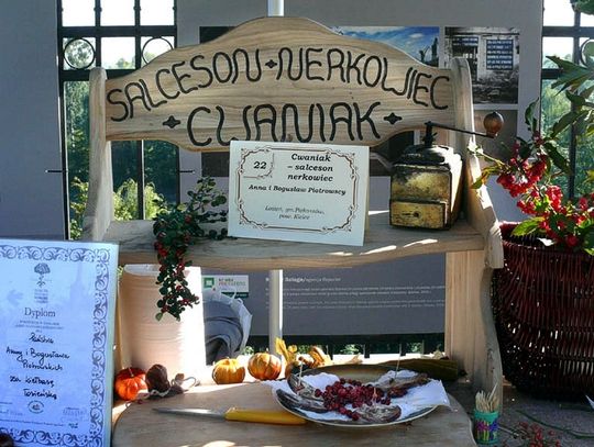 Pomagać z głową. Zakład pracy lepszy niż zasiłek