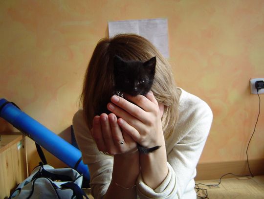 Pomoc w dramacie. „Co cię nie zabije, to cię… porani”      