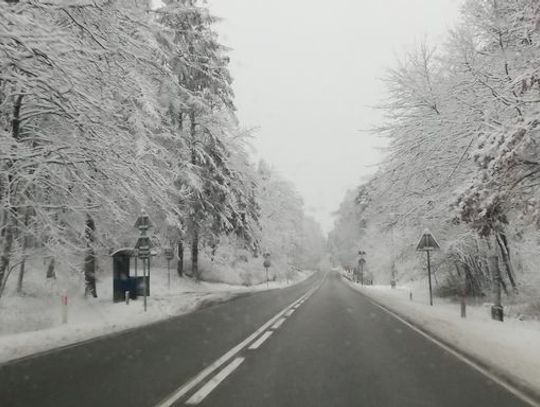 Ponad 130 pojazdów, 30 tyś ton soli i piasku 24h na dobę. Jak wygląda zimowe utrzymanie dróg na Pomorzu? 