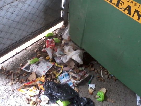 Porozrywane i poprzewracane. Co kryją worki ze śmieciami?