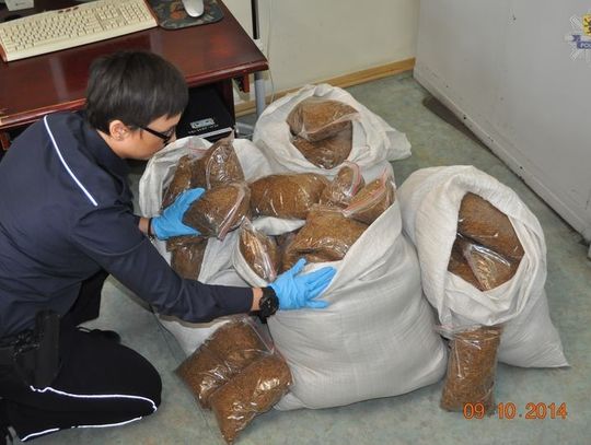 Posiadał w domu 60 kg tytoniu 