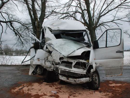 Poślizgiem w drzewo