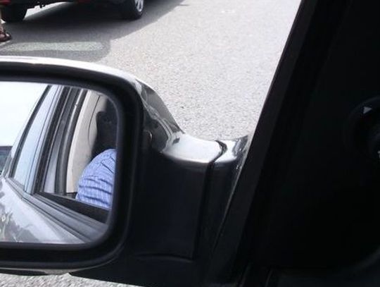 Pospolity auto-złodziejaszek