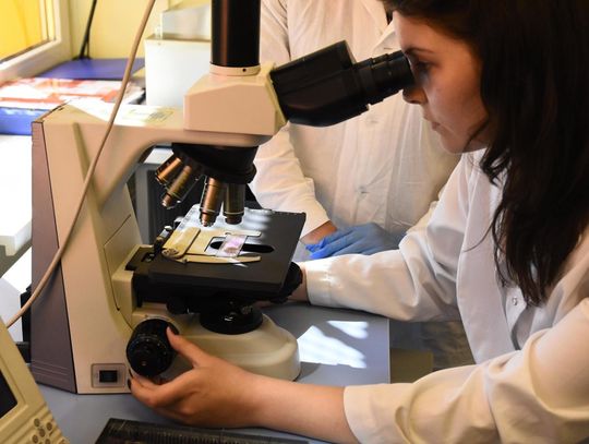 Poszukują niecodziennych i innowacyjnych rozwiązań 