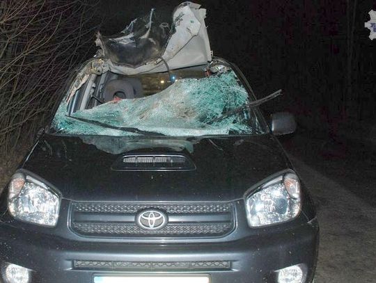 Potrącił jelenia, pasażerka zmarła