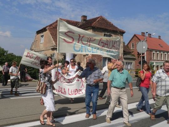 Potrójne NIE ekologów! OTOP, Gaja i Kuling na drodze do budowy mostu Kwidzyn - Opalenie