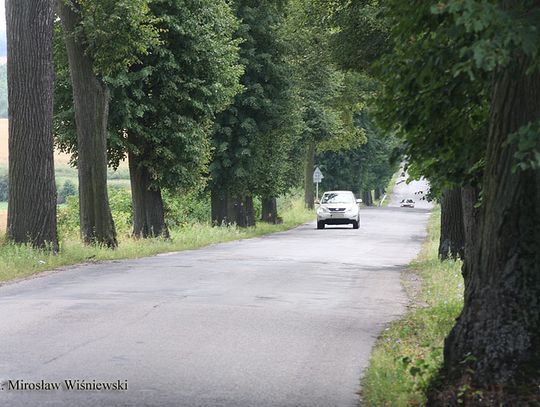 Powiat nadal liczy na wycięcie drzew