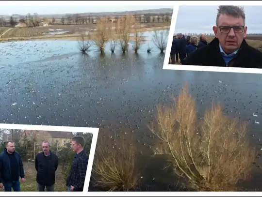 Powiśle i Żuławy pod wodą. Rolnicy alarmują!  - To nie jest problem techniczny, to kwestia bytu i przetrwania