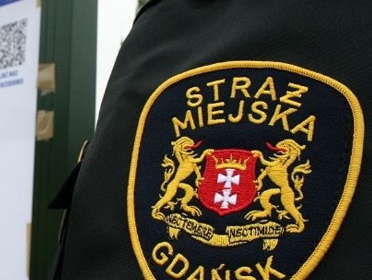 Powstaje typ idealny straży miejskiej