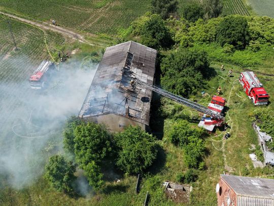 Pożar chlewni w Skórczu. Na miejscu pracuje dziewięć zastępów straży pożarnej