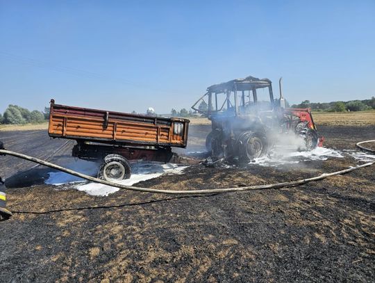 Pożar ciągnika i połaci rżyska w Wielkich Walichnowach. Było groźnie...