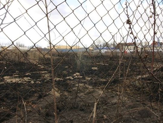 Pożar u sąsiadów, straty w ogrodzie