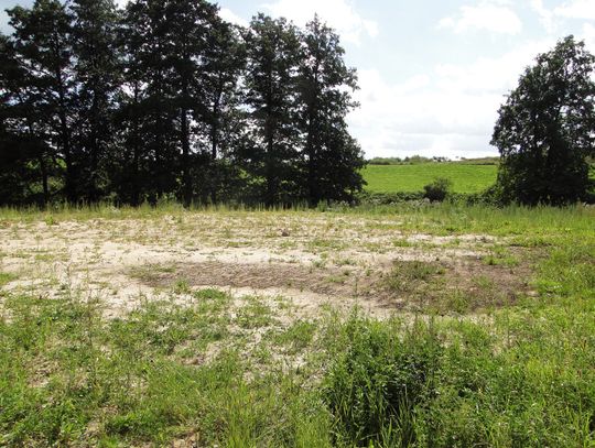 Problemy z Orlikiem w Opaleniu