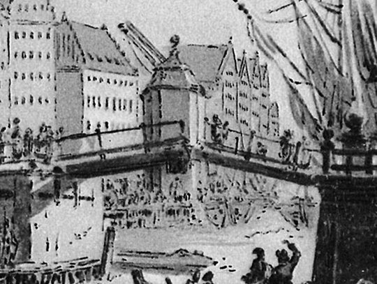 Prof. Januszajtis: Gdańsk w świecie żurawi