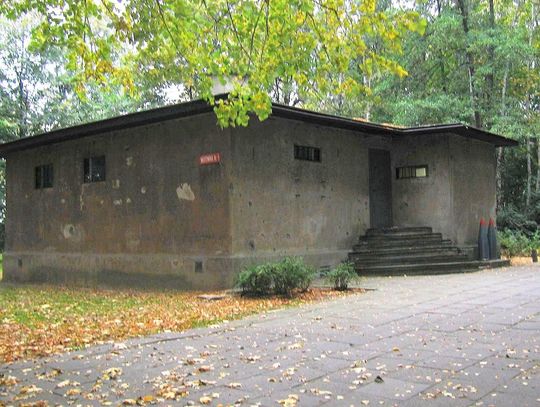 Prof. Januszajtis: Moje Westerplatte