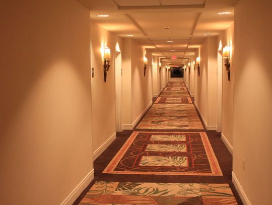 Profesjonalne czyszczenie dywanów i wykładzin