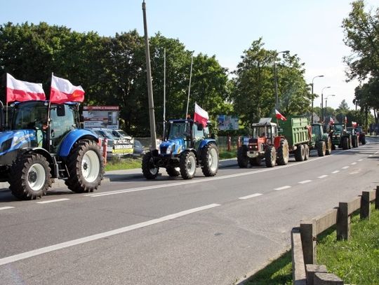 Protest przeciw niskim cenom rzepaku i pszenicy