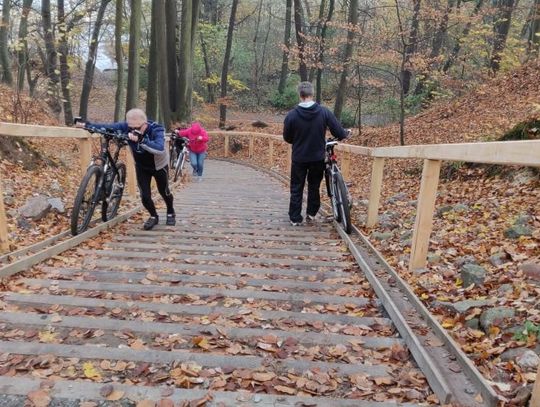 Prowadnice rowerowe. W Gdyni jest ich coraz więcej 