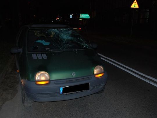 PRZEBIEGAŁ PRZEZ JEZDNIĘ