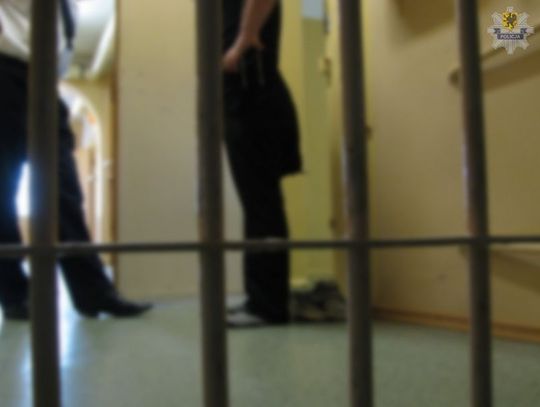 Przejażdżka karawanem, po kolizji schował się w parku