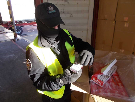 Przemyt 10 mln szt. papierosów zamiast plecaków