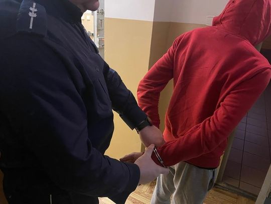 Przemyt narkotyków i jazda pod wpływem: 28-latek z Prabut zatrzymany przez policję