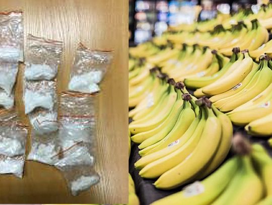 Przemyt narkotyków w bananach! Policjanci zabezpieczyli kilkadziesiąt kilogramów 
