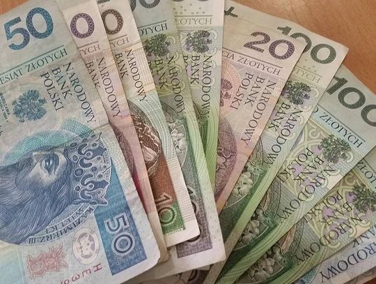 Prześwietl swojego włodarza! Sprawdzamy oświadczenia majątkowe prezydentów, burmistrzów i wójtów 