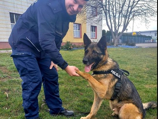 Przewodnik psa złapał na gorącym uczynku złodzieja oraz zatrzymał poszukiwanego 35-latka