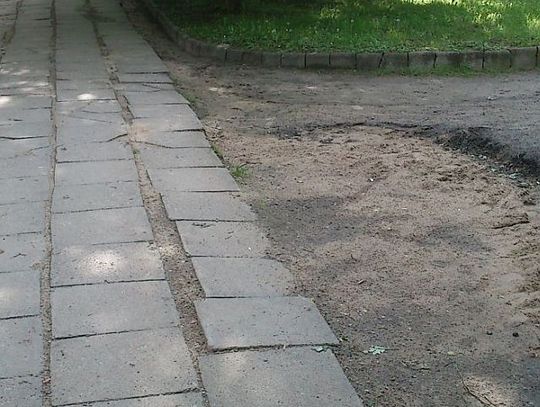 Przez Park Kopernika po wyboistym chodniku…