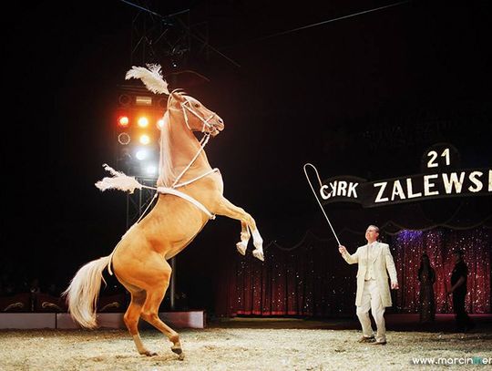 Przyjechał Cyrk Zalewski