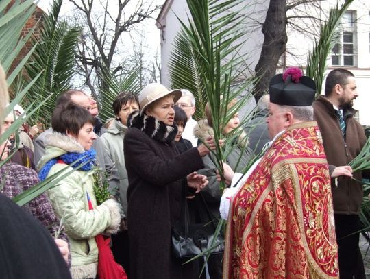 Przywiezione wprost z Rzymu na Niedzielę Palmową 