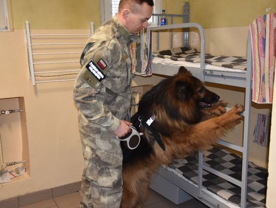 Psy specjalne gdańskiej służby więziennej